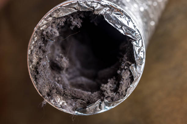 Best Commercial HVAC Duct Cleaning  in Kenbridge, VA